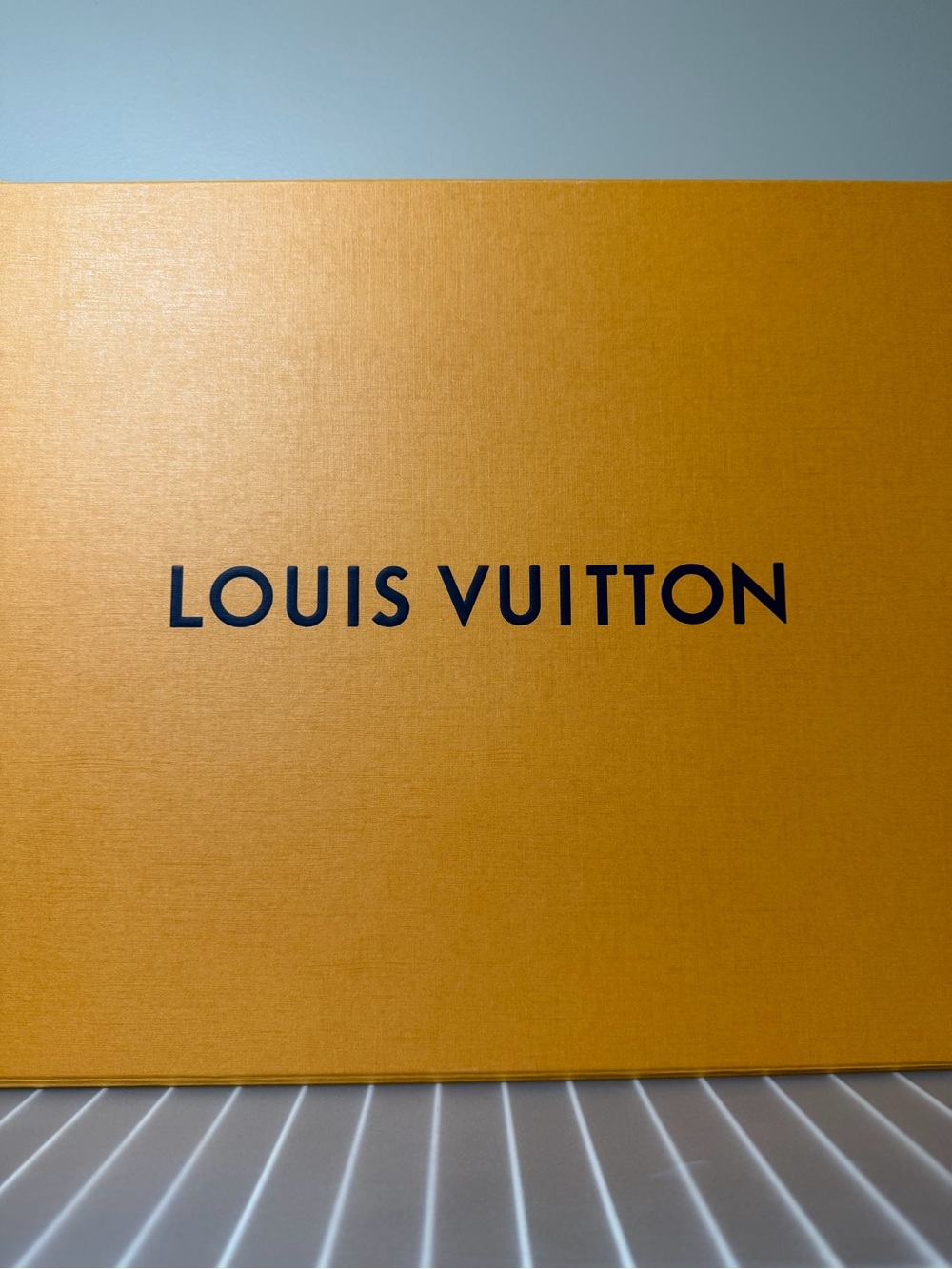 Louis Vuitton speedy 25 Azure bandouliere - Picture 10 of 10